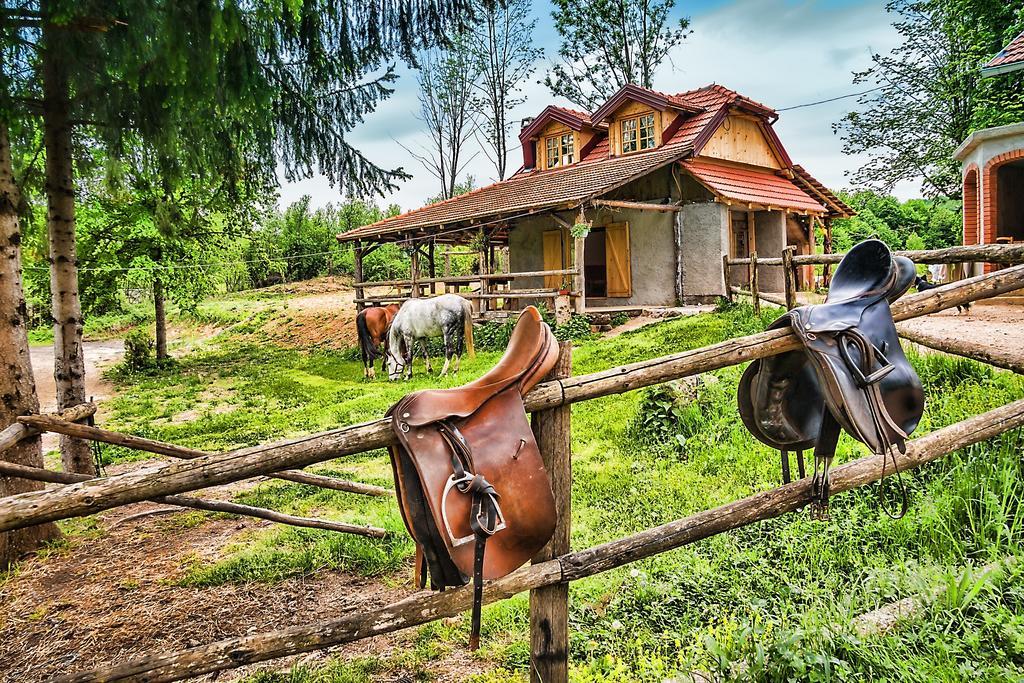 Apartments Fairy Land Раковица Екстер'єр фото