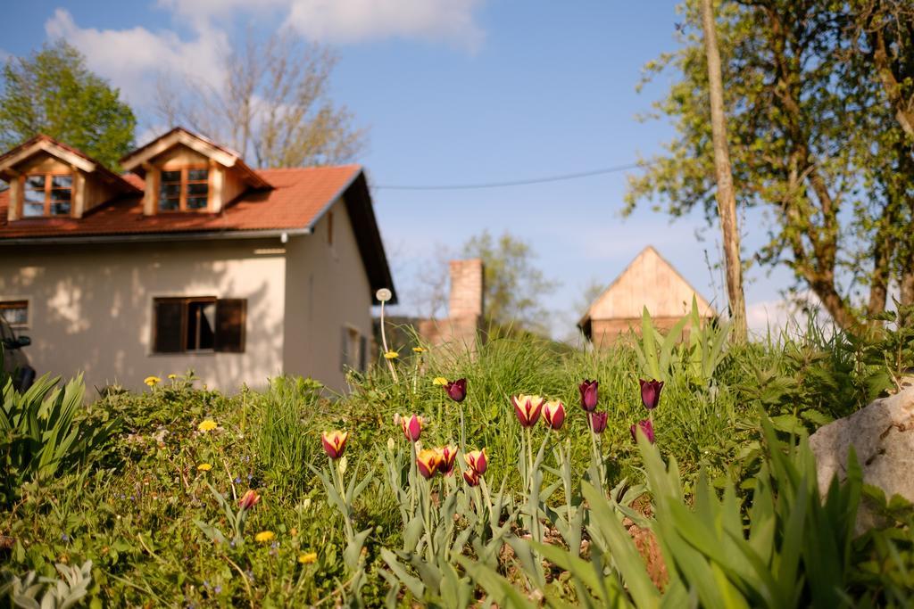 Apartments Fairy Land Раковица Екстер'єр фото